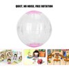 Pet Golden Hamsters Exercise Ball Toy Running Machine Transparent Jogging