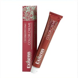 Exitenn Colour Cream Permanent Colour 60 ml No. 93-ex