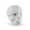 LP LP006GLO Sugar Skull Shaker Glow Fluorescent Suger Skull Shaker
