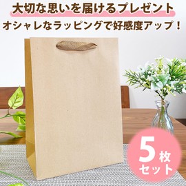 True Hearts Wrapping Bag, Gift Bag, 5 Pieces, Stylish, Cute, Present, Paper Bag, Handbag, Small Size (Plain Vertical)