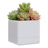 Indoor Self-Watering Planter with Drainage Hole – A Modern-Style Pot