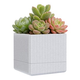 Indoor Self-Watering Planter with Drainage Hole – A Modern-Style Pot for Indoor Plants and Home/Office Decor; Also Makes a Great Small
