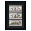 HUICAPTYI 3-Opening Dollar Bill Frame with Black Mat, Desktop Easel