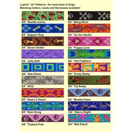 LupinePet Originals 3/4" Go Go Gecko 20-30" Step In Harness for Medium Dogs