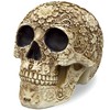 READAEER Life-Size Skeleton Replica Realistic Human Skull Head Bone Model