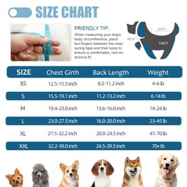 Abuandi Traje de recuperación para Perro, Talla XS HT