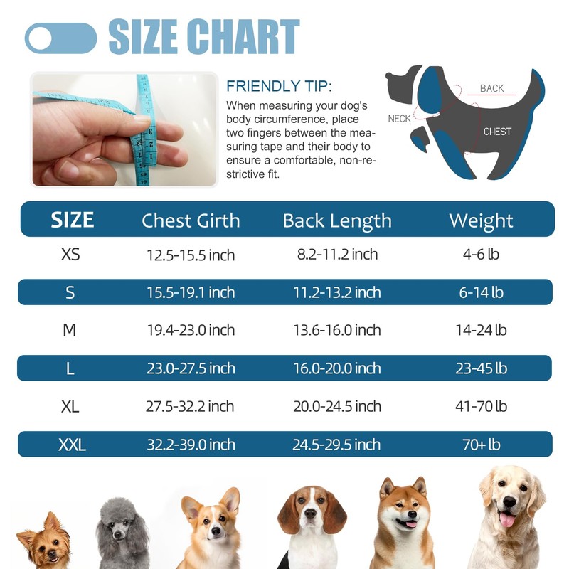 Abuandi Traje de recuperación para Perro, Talla XS HT