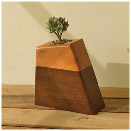 AspenStudio Plant Urn for Adult Human Ashes Cremation Wooden Urn by Aspen Studio