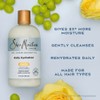 SHEA MOISTURE Daily Hydration Shampoo, Blanco, Coco, 384 Mililitro
