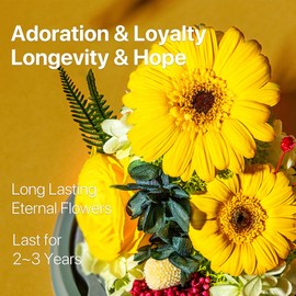 JoyFlower Preserved Sunflower Gifts for Women, Eternal Flowers Real Rose in Glass Dome, Forever Sunflowers Gift for Mom Wife Girlfriend, Unique Sunflower Gifts for Mother's Day, Birthday, Anniversary