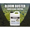 Bloom Buster Algae Control for Fish Ponds & Water Gardens