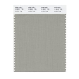 PANTONE Smart 16-0207X Color Swatch Card, London Fog