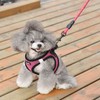 matilor Dog Harness Step-in Breathable Puppy Cat Dog Vest Harnesses