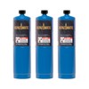 Bernzomatic Standard Propane Fuel Cylinder, Portable and Versatile for Torches,
