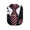 Barry.Wang Men's Silk Business Ties with Handkerchief, Cufflink Stripes Plaid