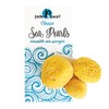 Classic Sea Pearls Reusable Sea Sponges - Multi Size