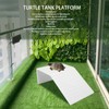 Tnfeeon Turtle Eel Platform, Simulation Acrylic Turtle Ramp, Turtle Rest