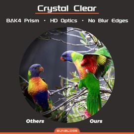 12x42 HD Binoculars for Adults – BAK4 Prism, FMC Lens, Waterproof & Lightweight – Clear Low Light Vision with Carrying Bag for Bird Watching, Travel, Hiking & Cruise (Black)