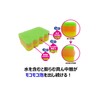 Kikulon Kitchen Sponge, Made in Japan, Clear Foaming Sponge, Mini
