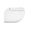 Plaisir Back to Wall Toilet White