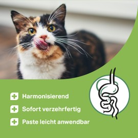 MEDICAT Premium Ulmenrinde Paste – 200 g – für Katzen – bei Sodbrennen, Durchfall und Erbrechen zur Darmsanierung - sofort verzehrfertig