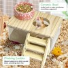 kathson Hamster Sand Bath Box Transparent Acrylic Small Syrian Hamster