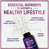 Calcium Supplement 1200 mg - with Vitamin D3 for Best