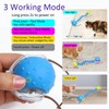 Giociv Interactive Cat Toys Ball for Indoor Cats Fast Rolling