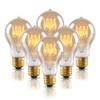 Warm Edison Light Bulbs, 60 Watt A19 Vintage Incandescent Light