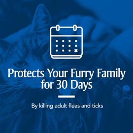 PetArmor for Dogs, Flea and Tick Treatment for Large Dogs (45-88 Pounds), Includes 6 Month Supply of Topical Flea Treatments