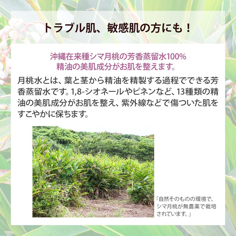 Natural Cosmetics Research Institute, Moon Peach, 100% Pure Solution, Preservative-free,