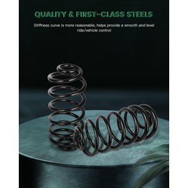 SCITOO 2Pcs Rear Suspension Coil Spring Set Fits 2004-2012 for Chevy for Malibu,2006-2010 for Pontiac G6,2007-2009 for Saturn Aura with CC81365 15829443 Coil Springs