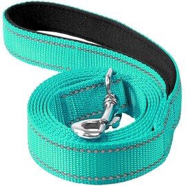 Erbine 6FT Reflective Nylon Dog Leash with Soft Padded Handle for Walking, Running and Training, Supports Small Medium and Large Dogs (Turquoise, 3/4Inch Wide)