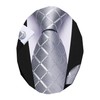 Barry.Wang Designer Classic Ties for Men Set Formal Pocket Square