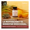 Suplemento Dopamind Tirosina Omega Nootrópicos Cápsulas Vitaminas Esenciales Health Hack