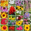 Grow Your Own Vibrant Annual and Perennial Wildflower Garden Seeds