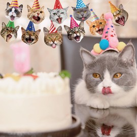 Cat Happy Birthday Banner Cat Face Birthday Garland Funny Cat Banner for Cat-Themed Party Decor Baby Shower Favor Bunting Supplies