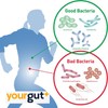 Yourgutplus+ 10X Live Yogurt Probiotics | Probiotics for Gut Health