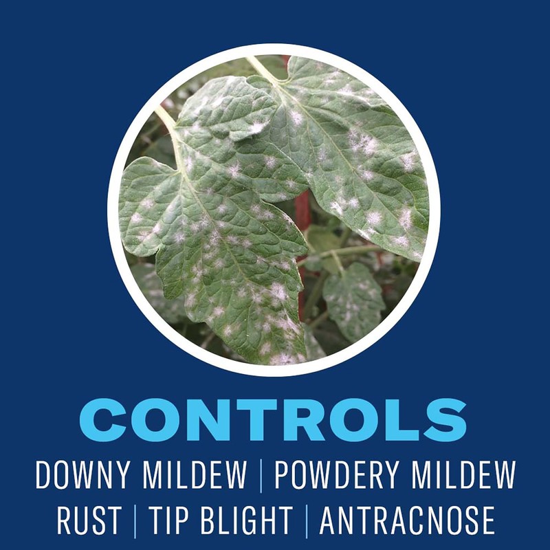 BioAdvanced Organics Brand Neem Oil, Ready-to-Use, 1 Gal