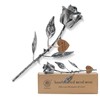 VGYGLS Handcrafted Metal Rose, Iron Gift for 8th Anniversary for