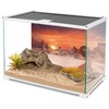 AWERT 36x18 inches Sun and Desert Terrarium Background Orange Reptile