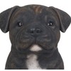 Vivid Arts - Pet Pals Brindle Staffordshire Home or Garden