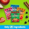 That's it. Fruit Crunchables Variety Pack, Fruit Snacks for Kids,