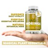 Magic Moringa Capsules High Strength Plant-Based Superfood Supplement for Daily