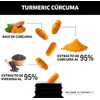 Turmeric Cúrcuma Con Extracto De Raíz De Cúrcuma Estandarizada Al