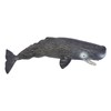 Realistic Sperm Whale Replica Simulated Marine Animal Model Educational Collector