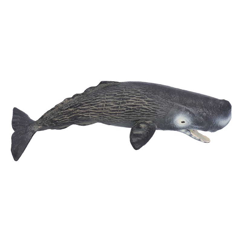 Realistic Sperm Whale Replica Simulated Marine Animal Model Educational Collector