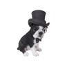 Boston Terrier with Top Hat - Spectacle and Bow Tie