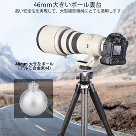 VIELKNOV 46mm Low Center of Gravity Ball Head Aluminum 360 Degree Rotating Ball Head Panoramic Arca-Swiss Compatible Quick Shoe Head with 3/8"-1/4" Screw Adapter for DSLR Camcorders Max Load Capacity