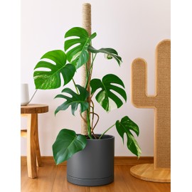 D'vine Dev 14 Inch Ceramic Planter Pot with Drainage Hole and Saucer, Indoor Cylinder Round Planter Pot, Speckled Grey, 94-O-G-3